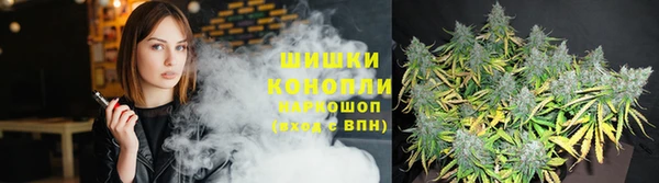 не бодяженный Бородино