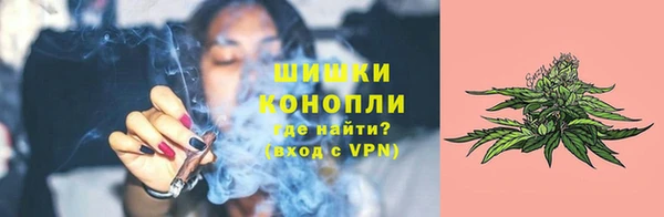 не бодяженный Бородино