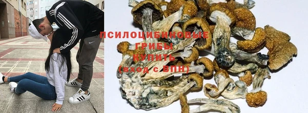 не бодяженный Бородино