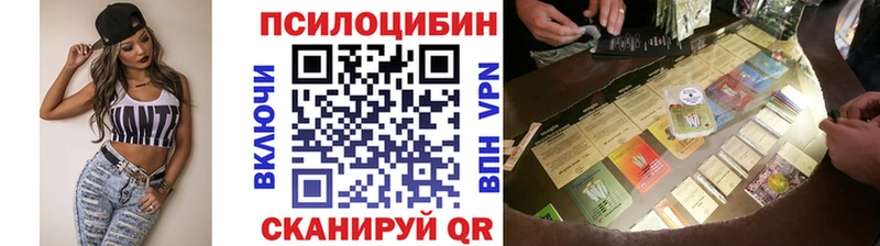Псилоцибиновые грибы Psilocybe  что такое наркотик  Волгореченск 